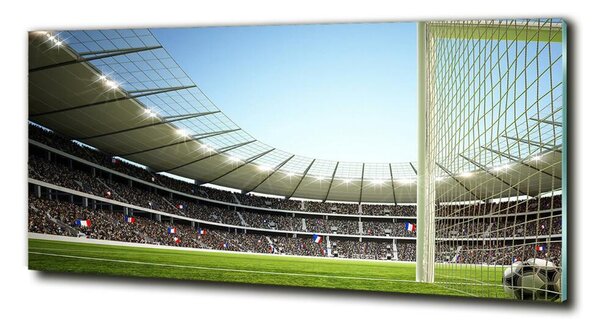 Fotografie imprimată pe sticlă Franța stadion