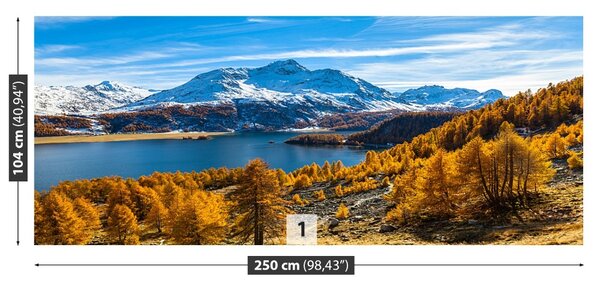 Fototapet Lacul din Alpii