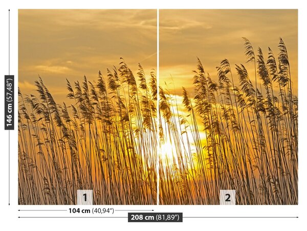Fototapet Reed Pole