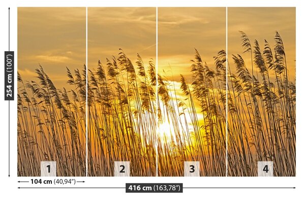Fototapet Reed Pole