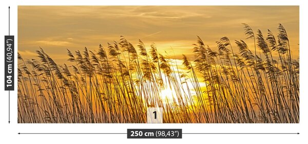Fototapet Reed Pole