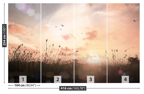 Fototapet Vintage Meadow