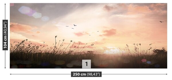 Fototapet Vintage Meadow