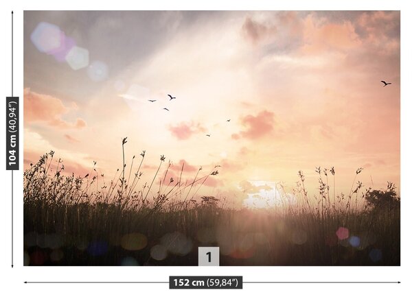 Fototapet Vintage Meadow