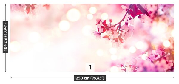 Fototapet Flori de cireș