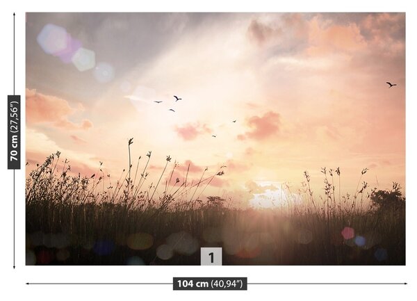 Fototapet Vintage Meadow