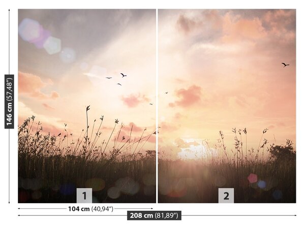 Fototapet Vintage Meadow