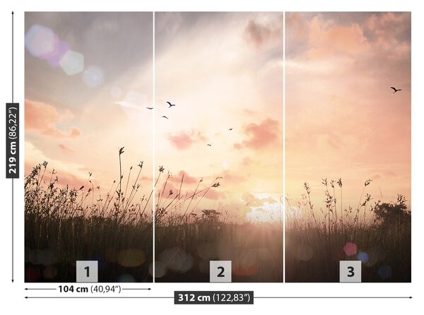 Fototapet Vintage Meadow
