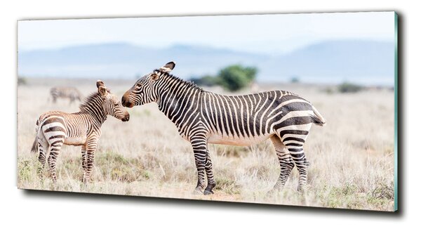 Tablou Printat Pe Sticlă Zebre în munți