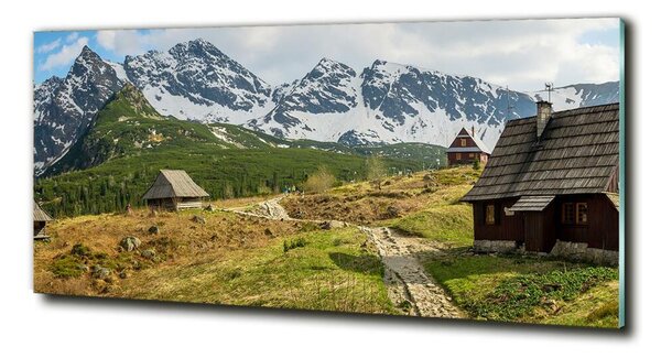 Imagine de sticlă Hale Tatry
