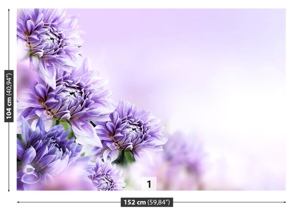 Fototapet Violet Flori