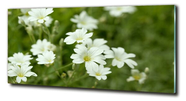 Tablou din Sticlă Flori de primăvară
