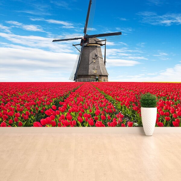 Fototapet Windmill Lalele