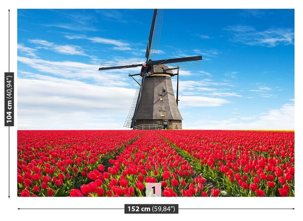 Fototapet Windmill Lalele