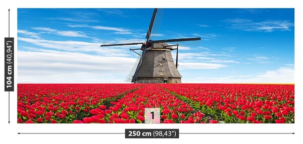 Fototapet Windmill Lalele
