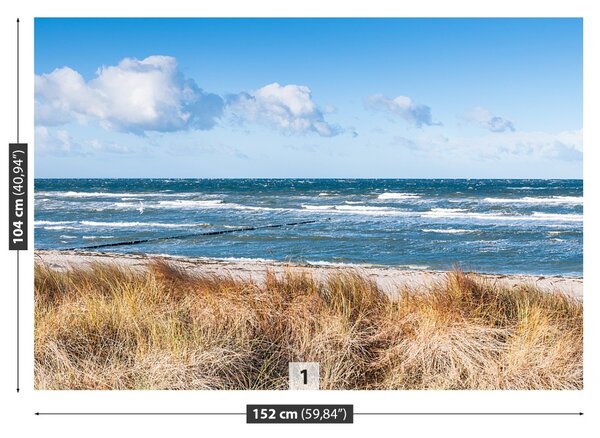 Fototapet Dune de nisip