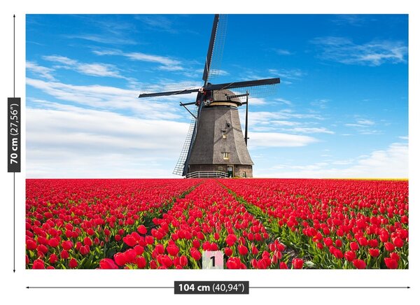 Fototapet Windmill Lalele