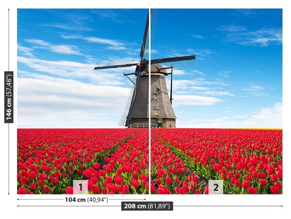 Fototapet Windmill Lalele
