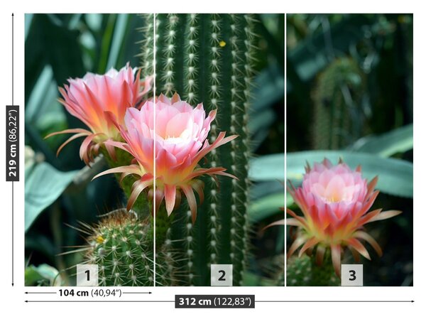Fototapet Cactus Flower