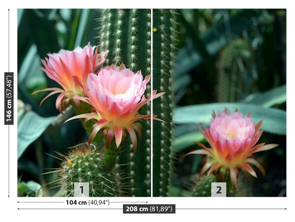 Fototapet Cactus Flower