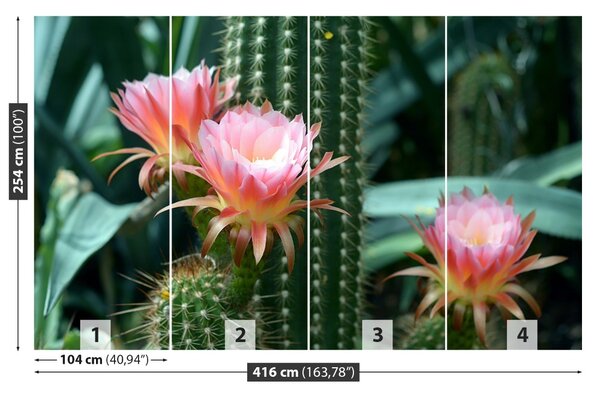Fototapet Cactus Flower