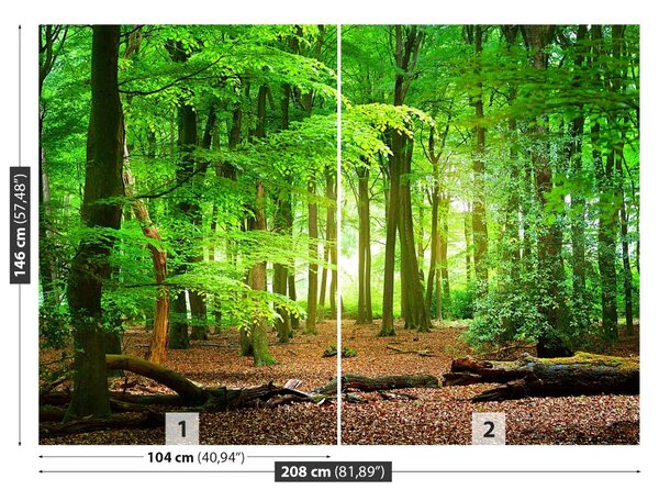 Fototapet Spring Forest