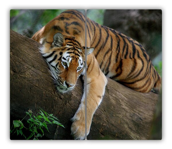Tocator din sticla Tiger pe copac