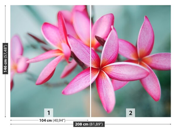 Fototapet Pink Plumeria