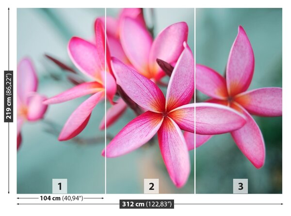 Fototapet Pink Plumeria