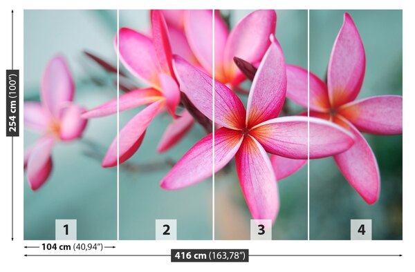 Fototapet Pink Plumeria