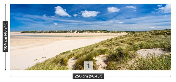 Fototapet Plaja Dunes