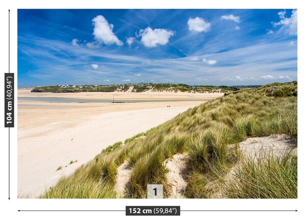 Fototapet Plaja Dunes