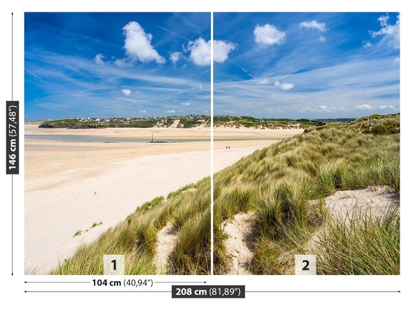 Fototapet Plaja Dunes
