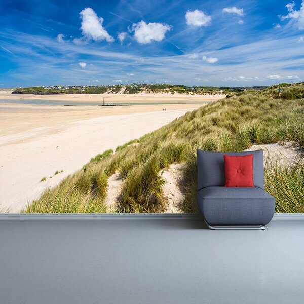 Fototapet Plaja Dunes