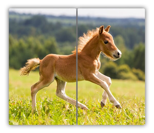 Tocator din sticla mânji de galop