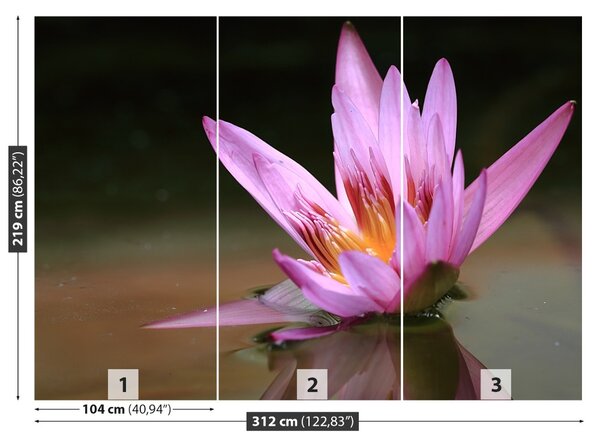 Fototapet Pond Lotos