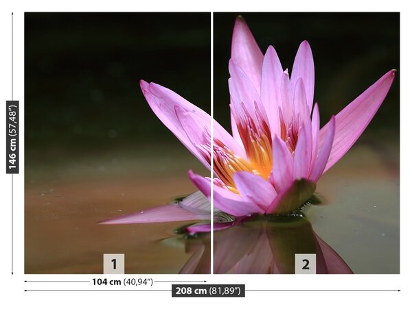 Fototapet Pond Lotos
