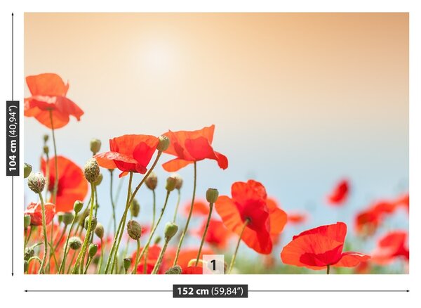 Fototapet maci Flori