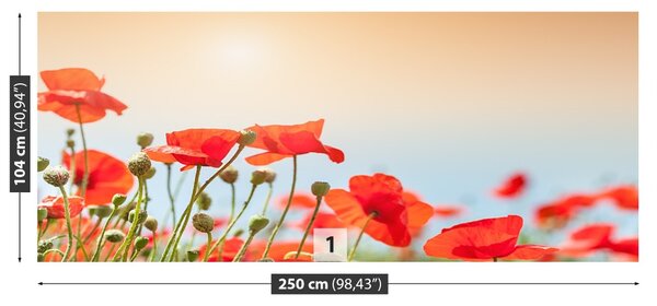Fototapet maci Flori
