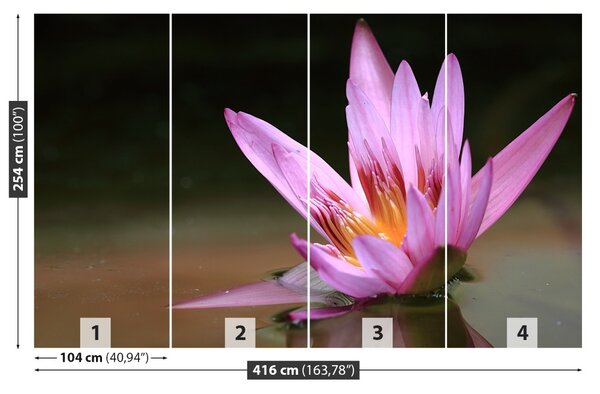 Fototapet Pond Lotos