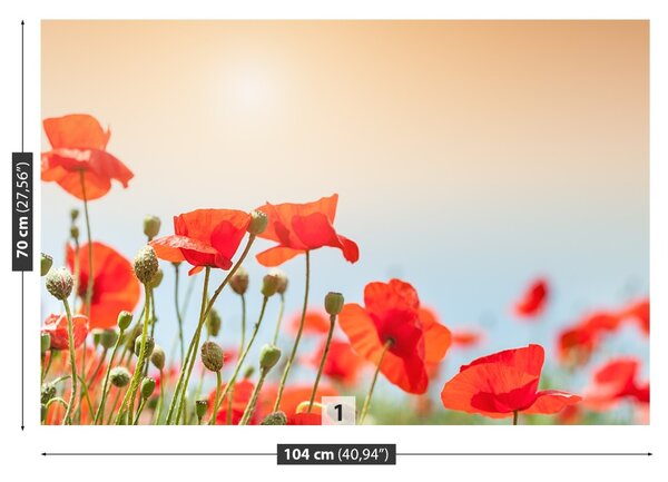 Fototapet maci Flori