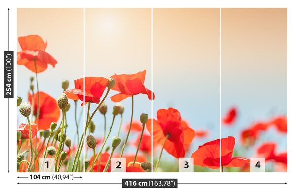 Fototapet maci Flori