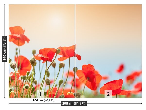 Fototapet maci Flori