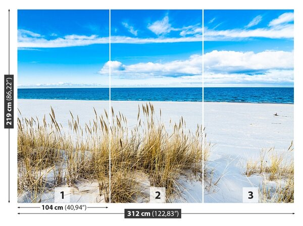 Fototapet Plaja nisipoasa