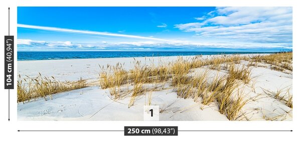 Fototapet Dunes Sea