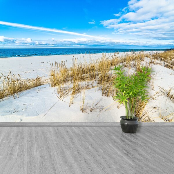 Fototapet Dunes Sea