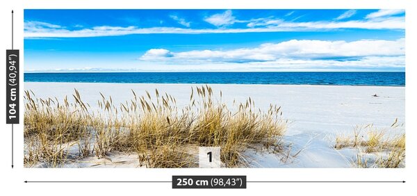 Fototapet Plaja nisipoasa