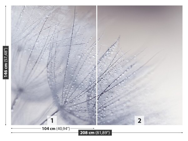 Fototapet Seminte dandelion
