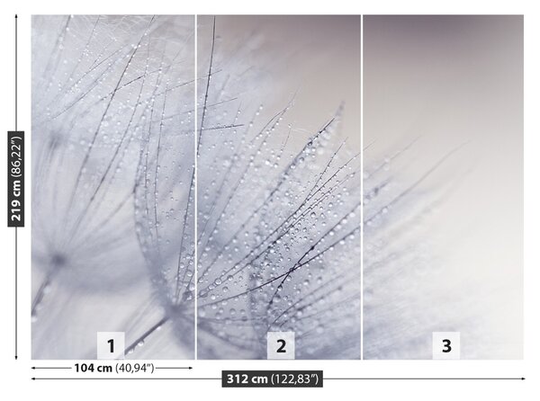 Fototapet Seminte dandelion