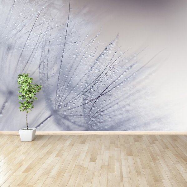 Fototapet Seminte dandelion